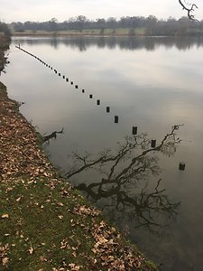 When Life Feels Difficult . stepping stones